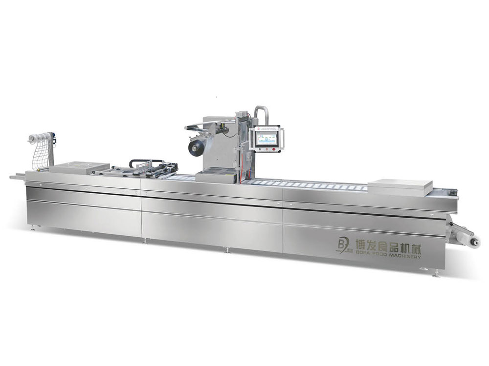 DLZ-420Z/520Z Computer Automatic Continuous Fillet Cut and Stretch Vacuum Packaging Machine